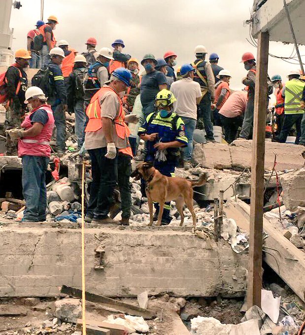 Ver imagen en Twitter