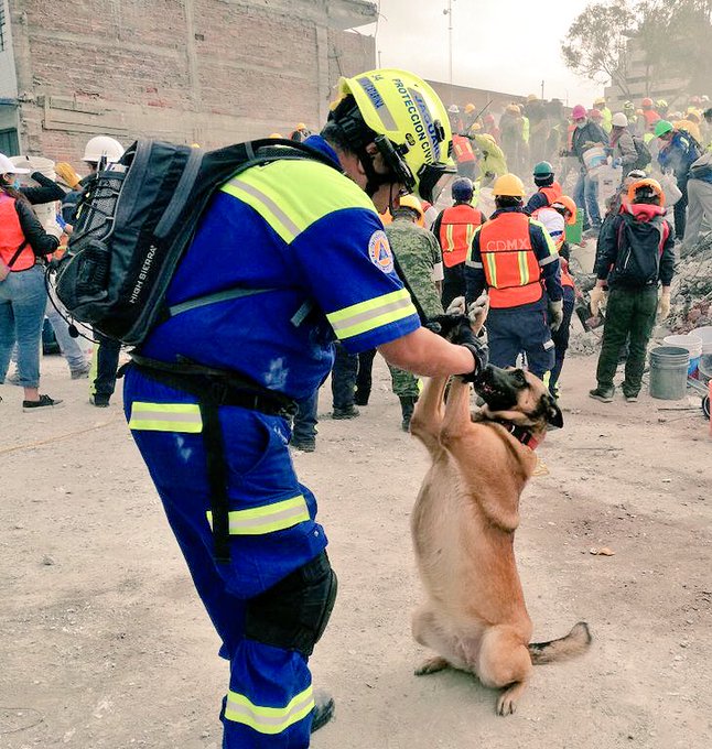 Ver imagen en Twitter