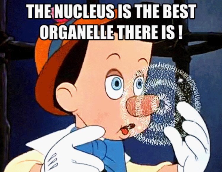 mrspicy_SER's tweet photo. Speaks for itself... for all those hater nucleus’, watch your back 😉 #Organellewars https://t.co/8iMxs7qUy5