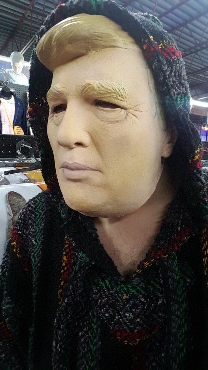 xFastForwardx's tweet photo. @realDonaldTrump I found the scariest costume ever! "Halloween endorses me, the ghouls love me. That election? Fake newws, they're wrong.." https://t.co/X6MbySdUIc