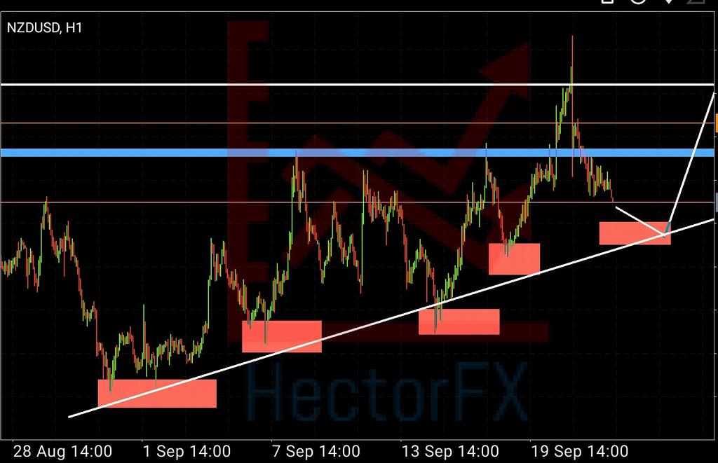 HectorPFx's tweet photo. $NZDUSD No copiar mis análisis, son solo especulaciones documentadas. #Hectorfx #Forex #Trader #Lifetrading https://t.co/A9bjatNkTW