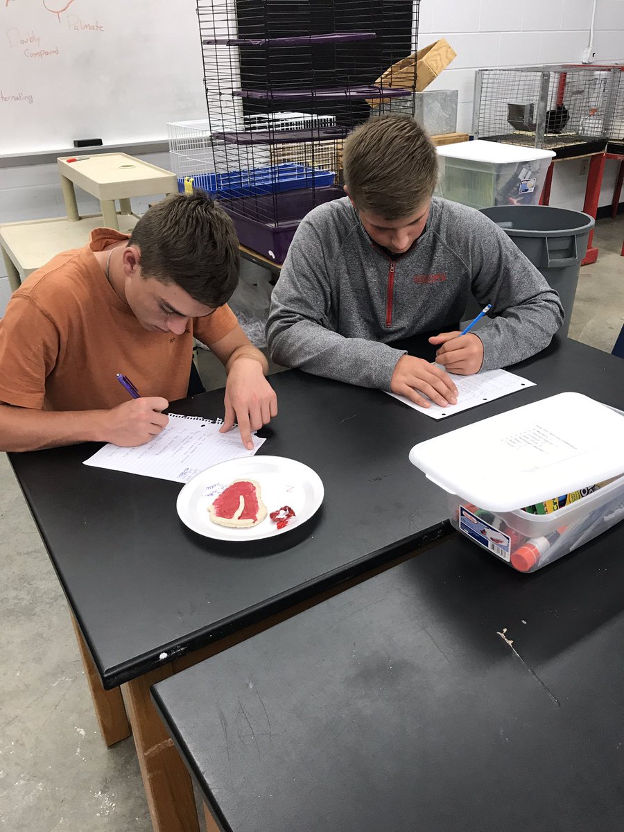agteachmom's tweet photo. Grading T-bone steaks based on marbling and plate waste #itsplaydough #learningtodo #teachag https://t.co/nTUipzgtuZ