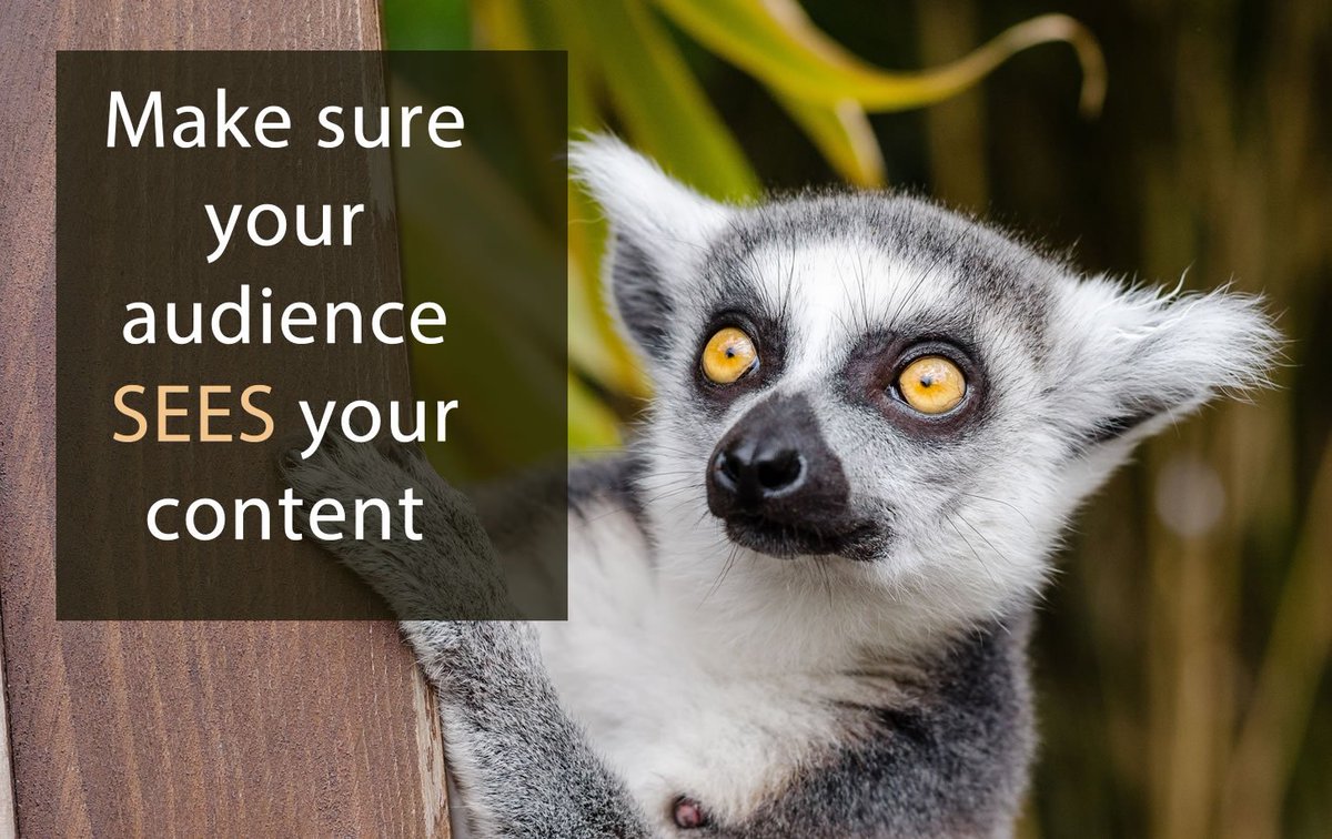 Make sure your audience sees your #Content by <a href="/mnburgess/">Mark Burgess</a> #ContentMarketing #marketing #EmployeeEngagement 
bit.ly/2xVCais