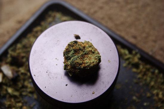 allweednews8's tweet photo. For gastronomes only! Best weed!  #allweednews #weed #gastronome #highqualityweed https://t.co/4uIMPtroFW
