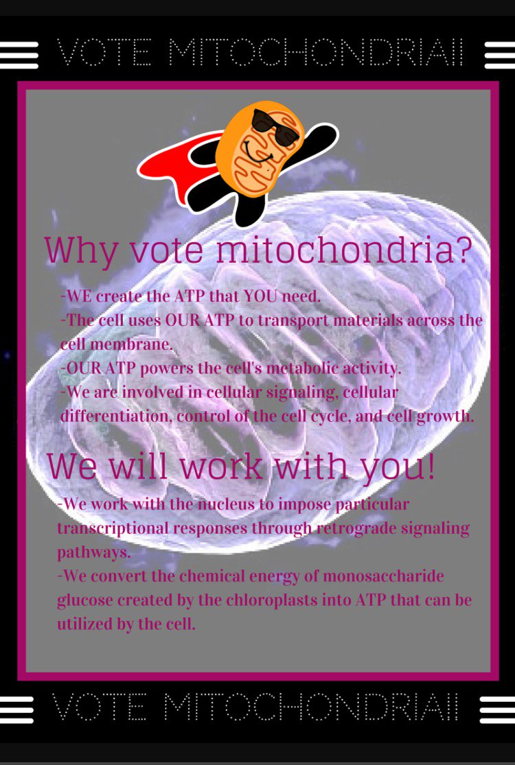 Mitochondria234's tweet photo. Vote for the one on your side! https://t.co/dZKJMbcExQ