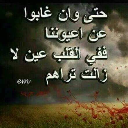 نور الشمس (@bishomelad2016) on Twitter photo 