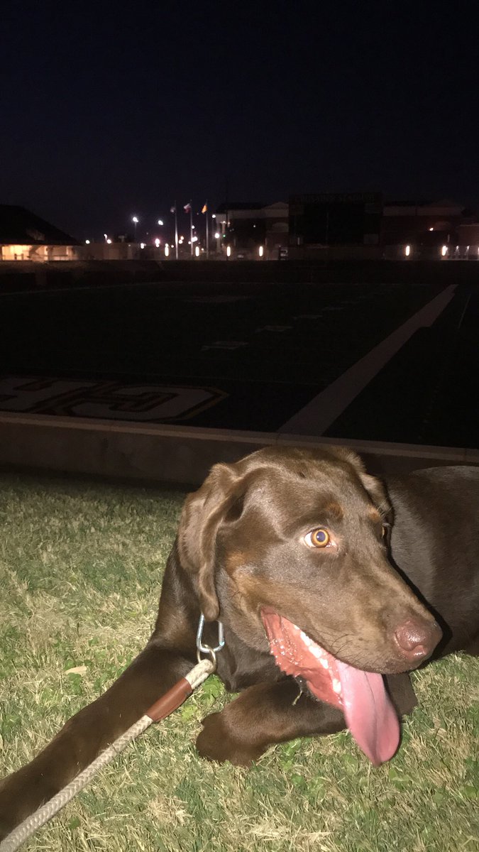 TurnipMcGee's tweet photo. I couldnโt decide which was better so hereโs both #GoCru #GoSully https://t.co/wFlH1g2XRN