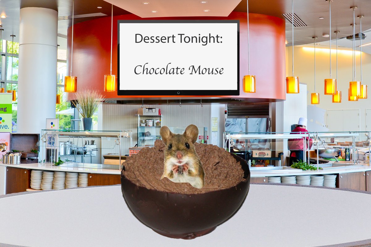 WSURadish's tweet photo. Following Rodent-related Viral Video, POD Dessert Board’s Misspelling of ‘Chocolate Mousse’ Raises Eyebrows
Article: https://t.co/9E000yePWl https://t.co/sIUARPpWhG