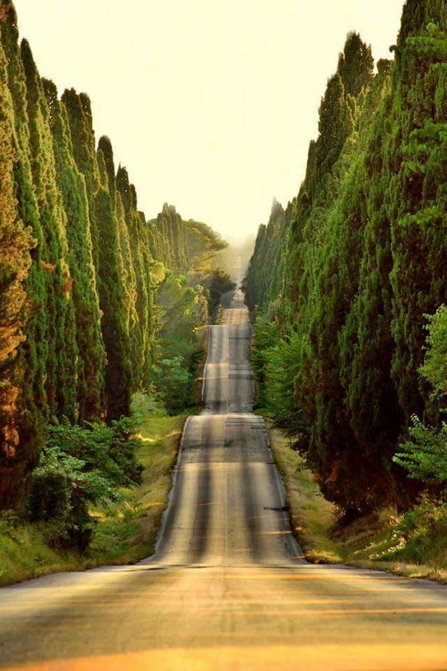 O caminho é longo, vamos Betas! 
#BetaQuerLab 
#BetaAjudaBeta 
#BetaSegueBeta 
#TimBeta