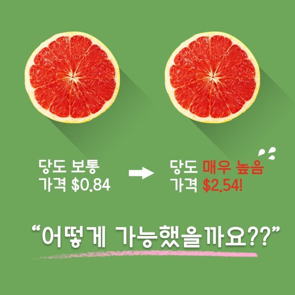 _GlobalVision's tweet image. [글로벌비전] 베트남 빈곤농가의 자립을 도와주는 코코넛과 자몽이야기 (출처 : 글로벌비전 | blog.naver.com/gv_blog/221101…