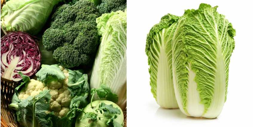 objectifsantemu's tweet photo. Faites du chou votre allié santé ! https://t.co/GMDI0uIQlC #nutrition #alimentation https://t.co/meTRPIjYrp