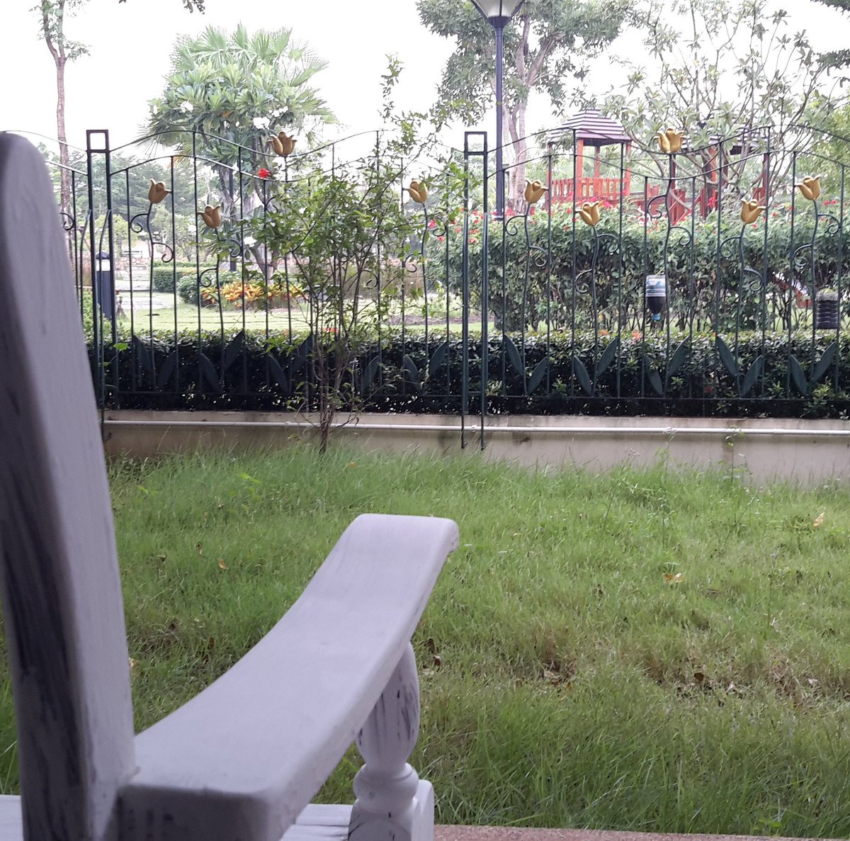 nutati's tweet image. บรรยากาศดีจัง.....
#สิ่งดีๆอยู่รอบตัวเรา