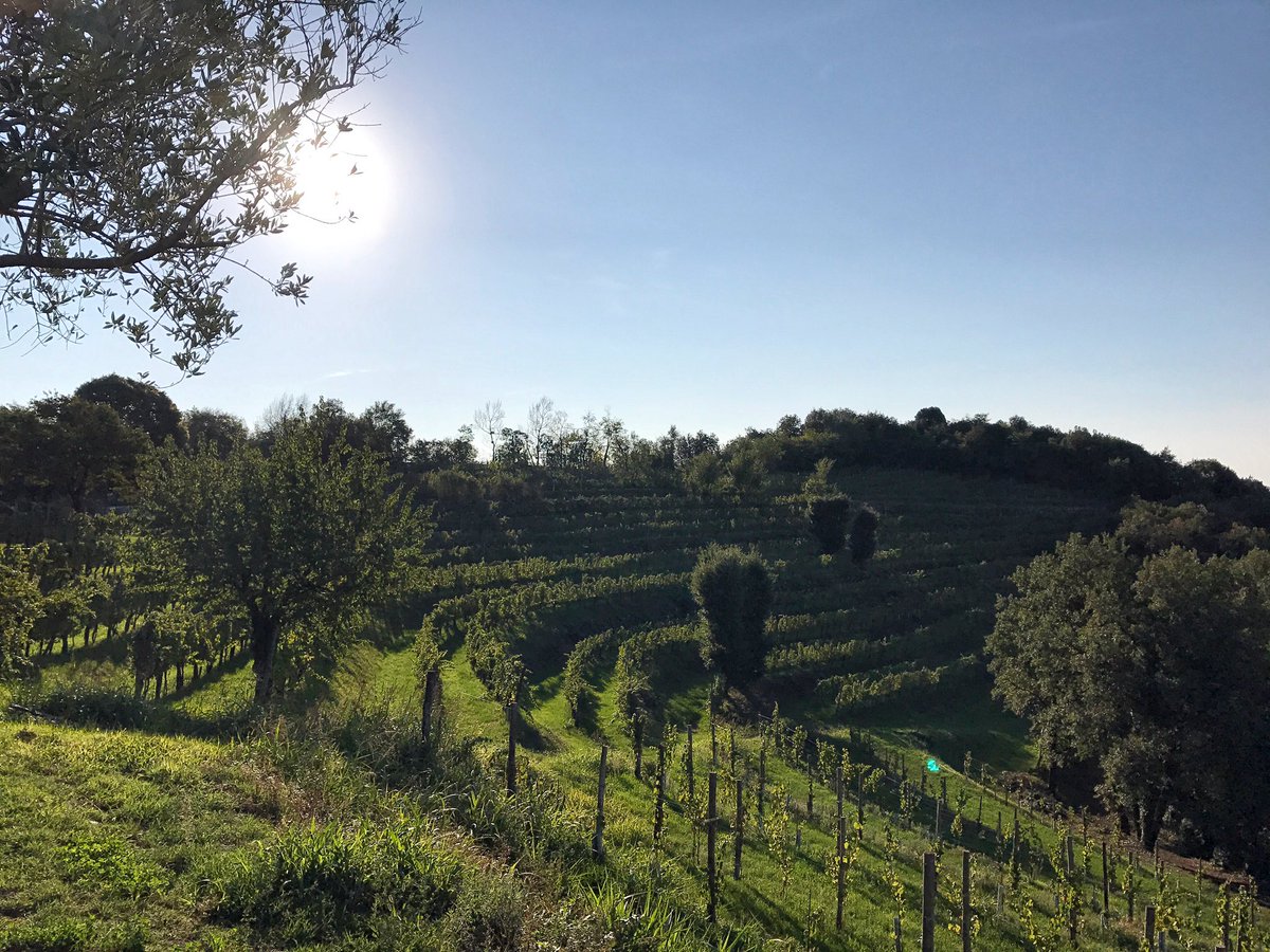 Il sole splende in #Franciacorta e si prospetta uno splendido #weekend! #22settembre #arcariedanesi #landscape