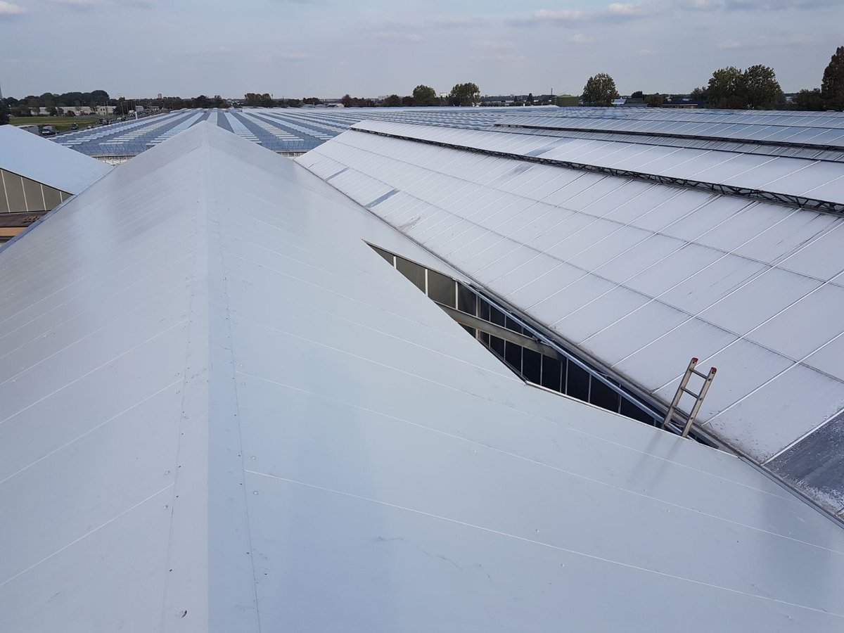 Technokas's tweet photo. Bij @SionOrchids hebben we deze week op een gedeelte van het dek de stegdoppelplaten vervangen voor sandwichpanelen i.s.m. @Gebrkoole https://t.co/quxZ1BFnjF