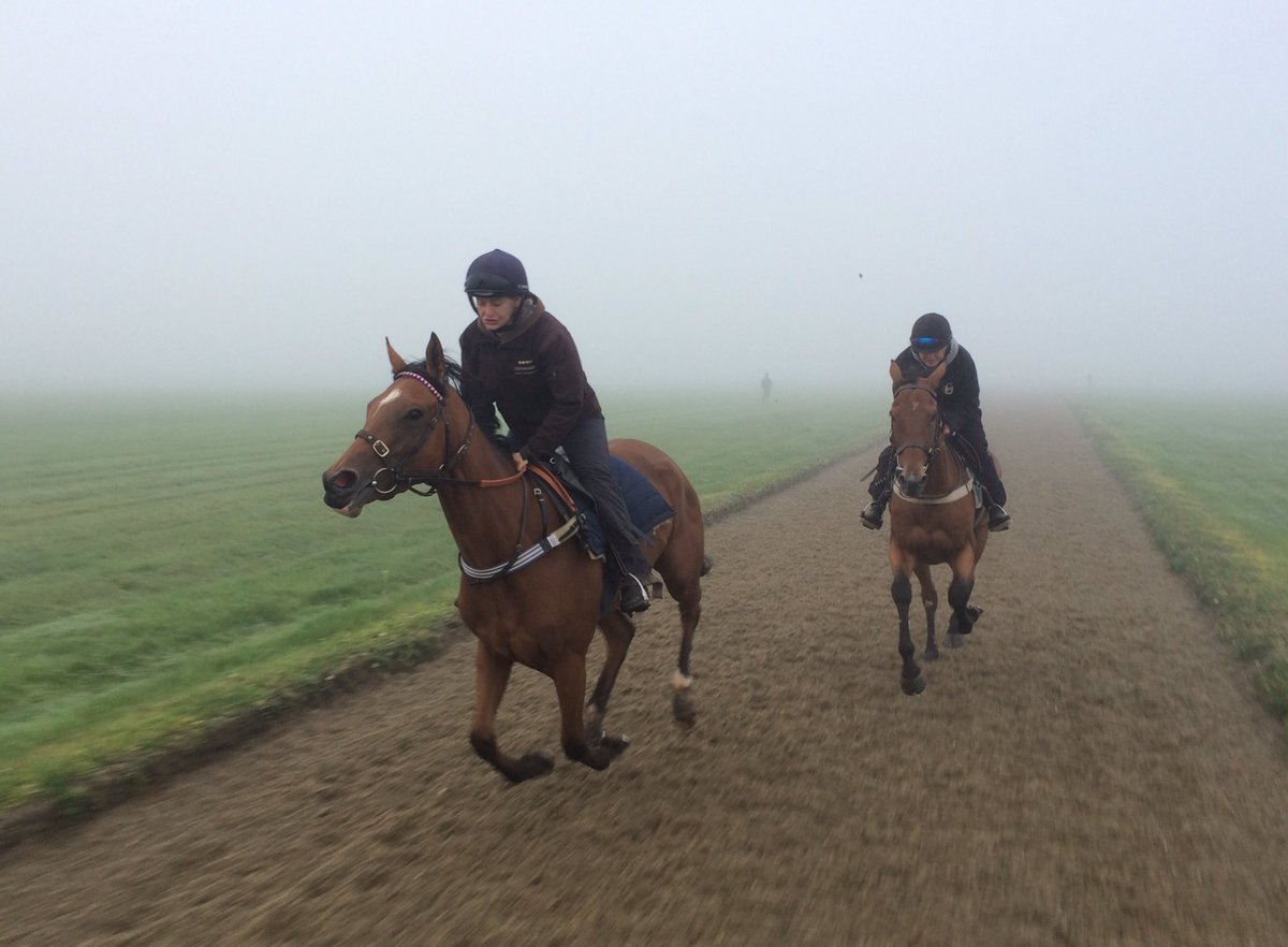 JohnWathenBerry's tweet photo. Foggy morning on the Heath @NewmarketGallop but the sun should break through before too long #WastedSunsets #Delatite https://t.co/dKu6cbJOPG
