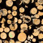 Le chauffage au bois est de plus en plus vertueux dlvr.it/PpfzZn