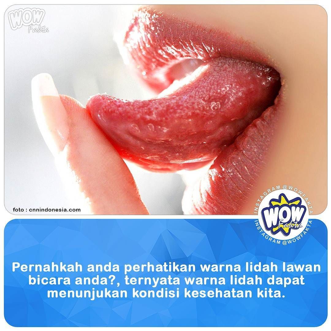 ift.tt/2xj6DWS Lidah manusia ternyata tak cuma berfungsi untuk mengecap dan merasakan berbagai rasa, dari …