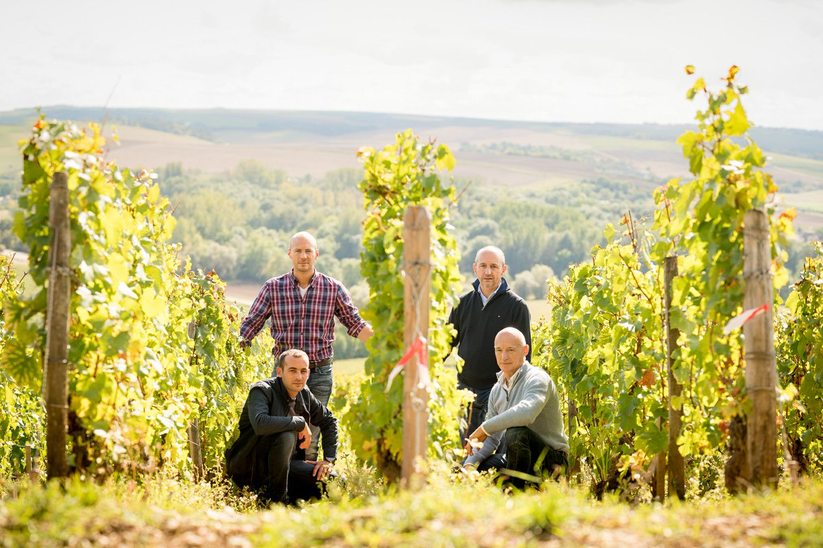 LamblinChablis's tweet photo. Alexandre, Didier, Clément and Michel Lamblin. #onefamily #onepassion #chablis https://t.co/psbxcLCgRw