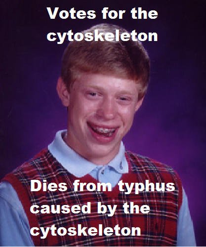 mightymito4's tweet photo. @Cytoskelet_on @murphyapbio 
https://t.co/lVcLTm0Om6 https://t.co/EpsIZH3qI8