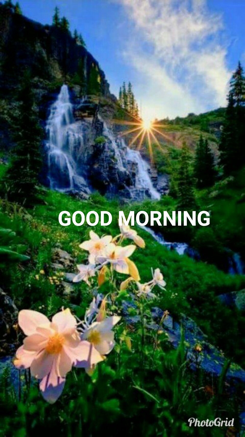 Narandra K Sharma on Twitter: