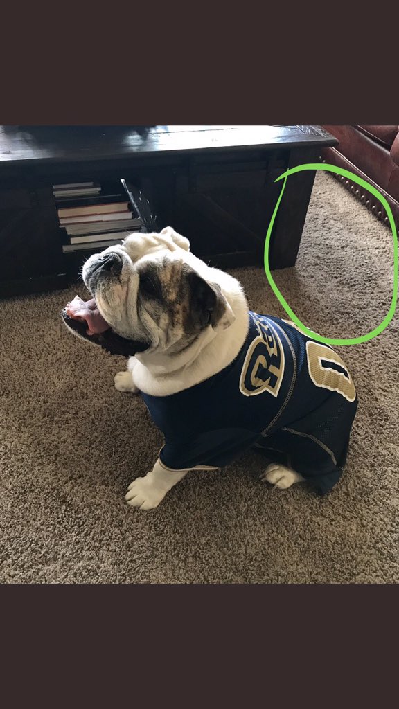 david_glaze3's tweet photo. @JordanCohen21 @RamsNFL @nflnetwork @RamsNationLAX BTW. Traffic patterns 😉 #approvedcarpetcare. #willworkfortix https://t.co/sBc0FrCutF