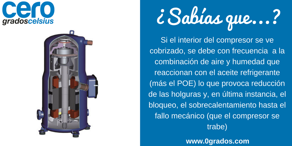 Revista0Grados's tweet image. #Sabíasque