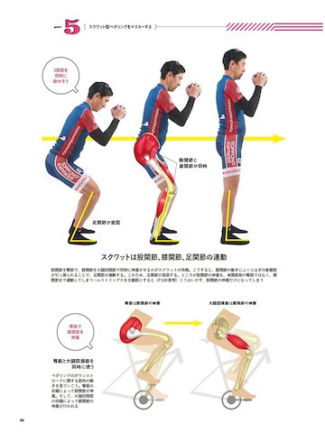 Masahiro Fukuda 自転車の上でスクワットしていれば背屈 底屈するけど デッドリフトだと逆になりやすい そういう人は短いクランクを好むと思う 前から言ってるけどペダリングパターンの違いが機材のセッティングの違い 好みの違いにつながる 写真は