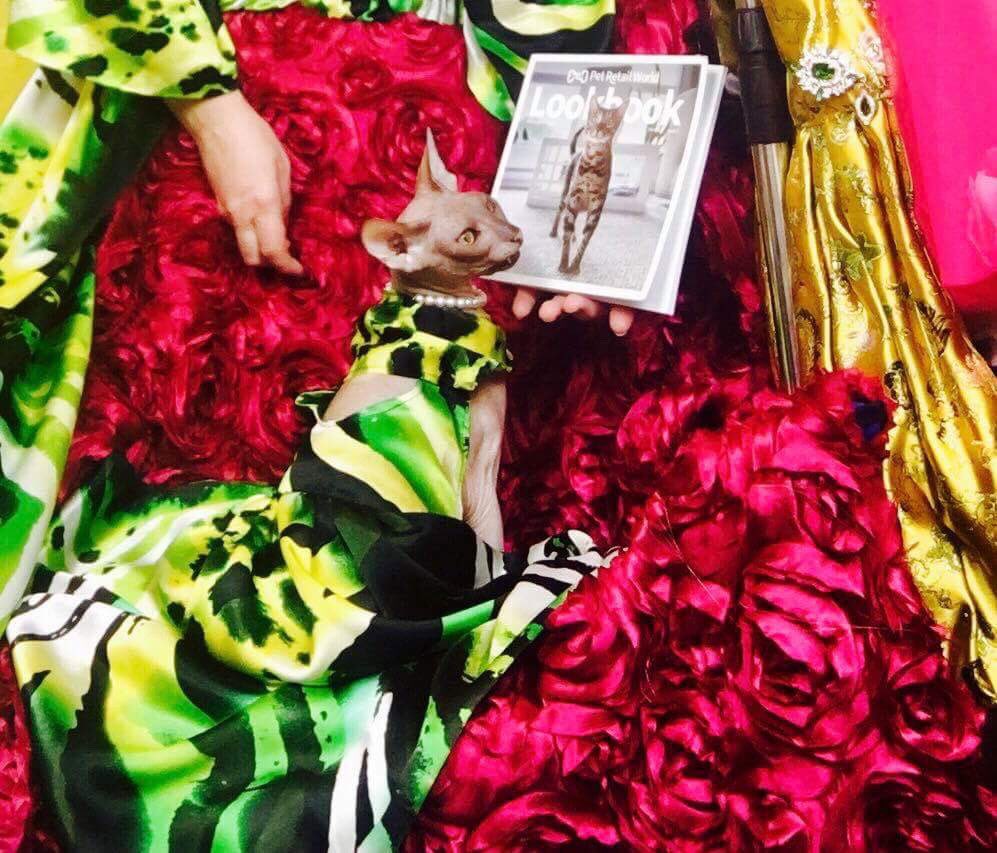 Coco-Mau Aqua tweet media