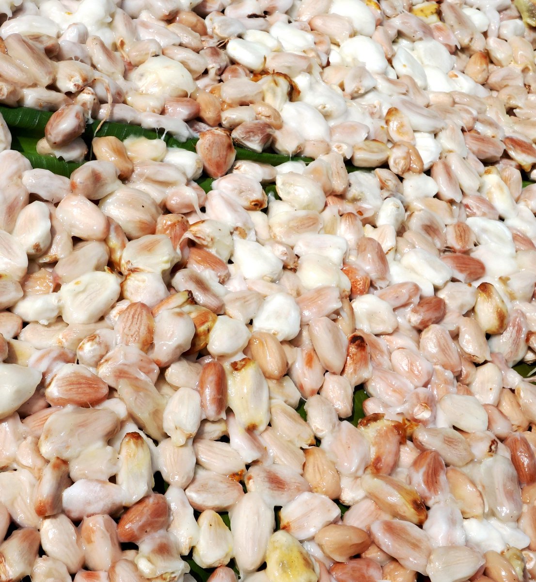 Our cocoa beans are fermented for a period of up to 7 days, so the flavour and aroma potential of beans developed, and bitterness is reduced