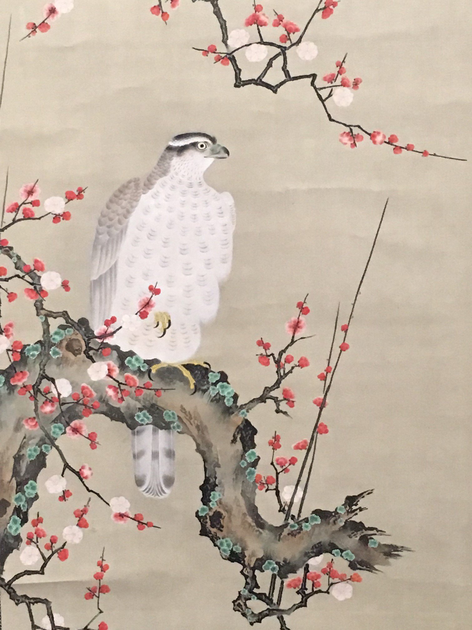 板橋区立美術館 على X: 