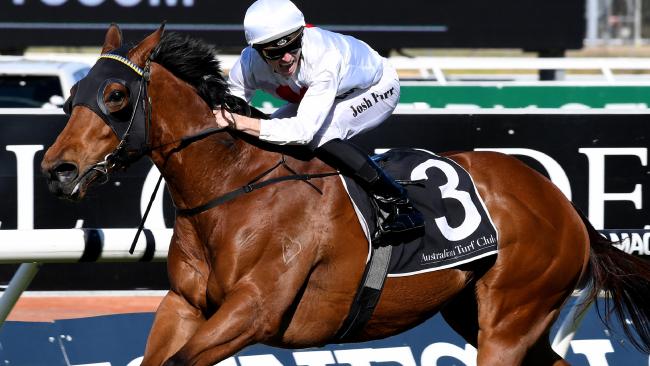 SecretariatsWld's tweet photo. #GeraldRyan’s record-breaking sprinter #Deploy has secured the @cwallerracing slot in the $10 million #TheEverestRace2017. https://t.co/lrLWG38XDs
