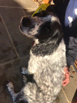 hang-out.com/Oxted tweet media