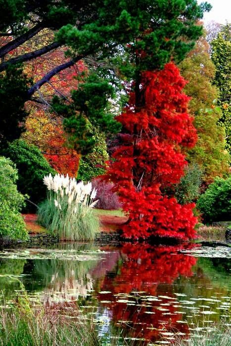 MarionSpekker's tweet photo. Good morning :-)) 
Twitterworld ✨💓✨ https://t.co/8vxhhQWzRL