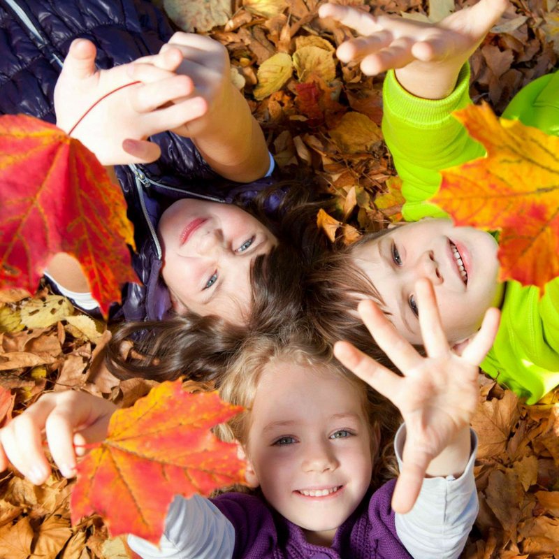 Bilbokid_Fr's tweet photo. Aujourd'hui c'est l'#automne ! #autumn #saison #season #endofsummer #findelete #22septembre https://t.co/qpxA1QMXwT