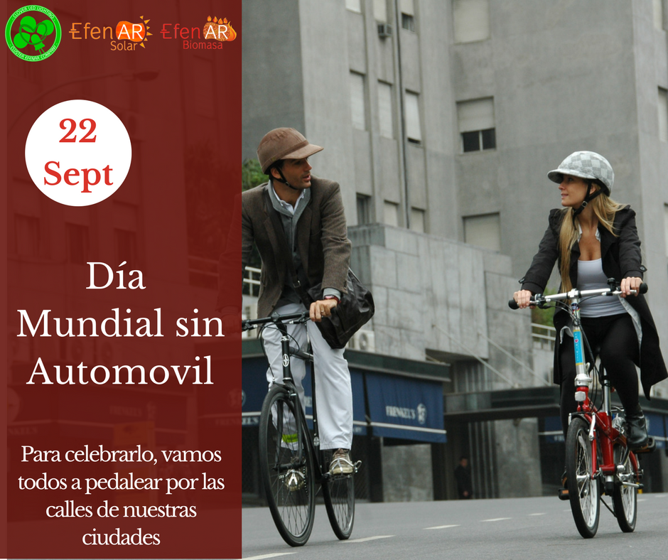 kit_fv's tweet photo. ¡Buenos días, muévete! https://t.co/EcH3KVId0q