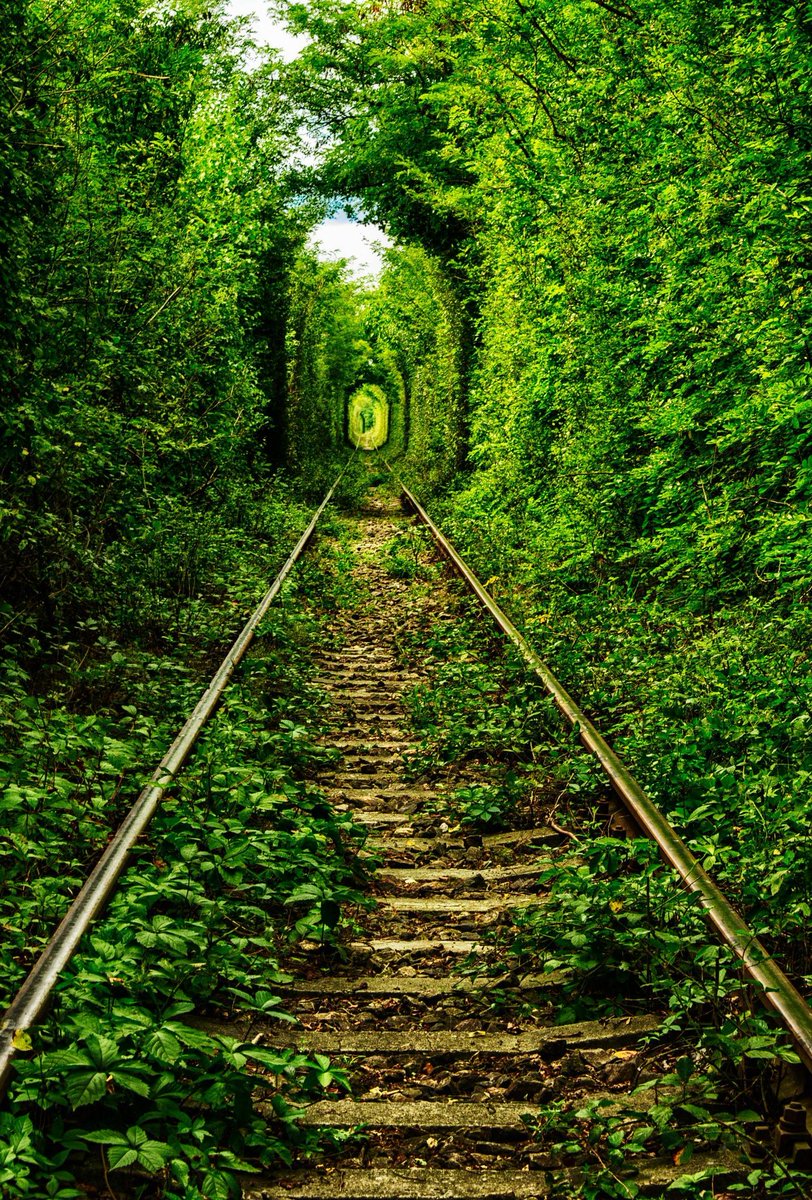 TeresaAlicez's tweet photo. "#Romanias #Love Tunnel" #nature #hiking #photography https://t.co/YXQb43MZr3