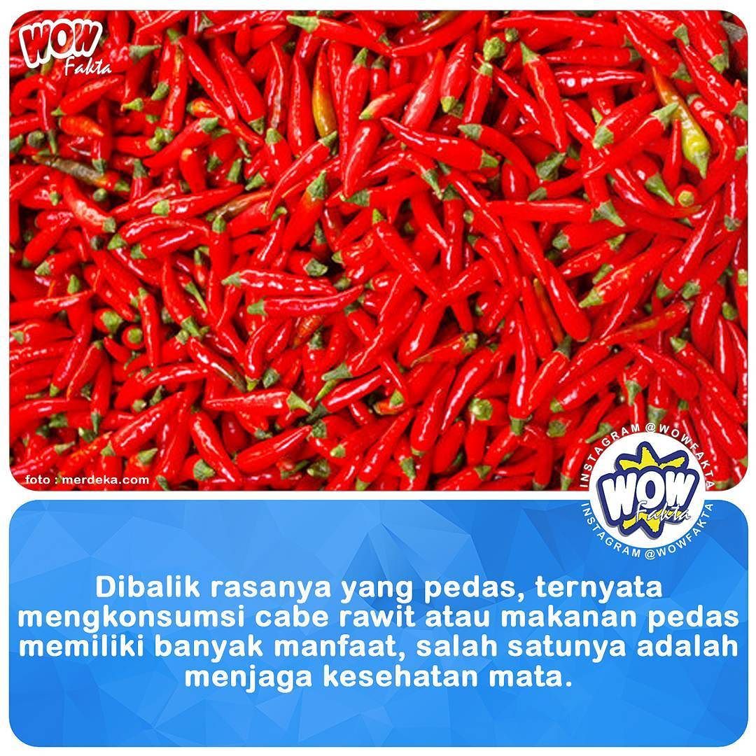 ift.tt/2yhcsRk Kamu termasuk penyuka makanan pedas? Jika iya, bersyukurlah karena kamu akan mendapatkan be…