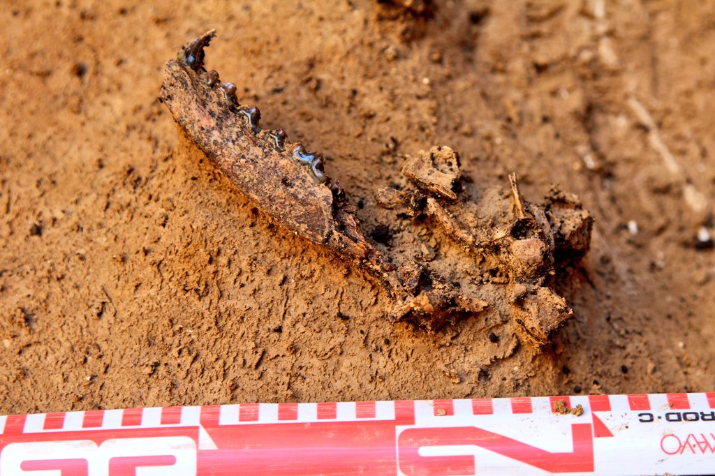 EMHEProject tweet media