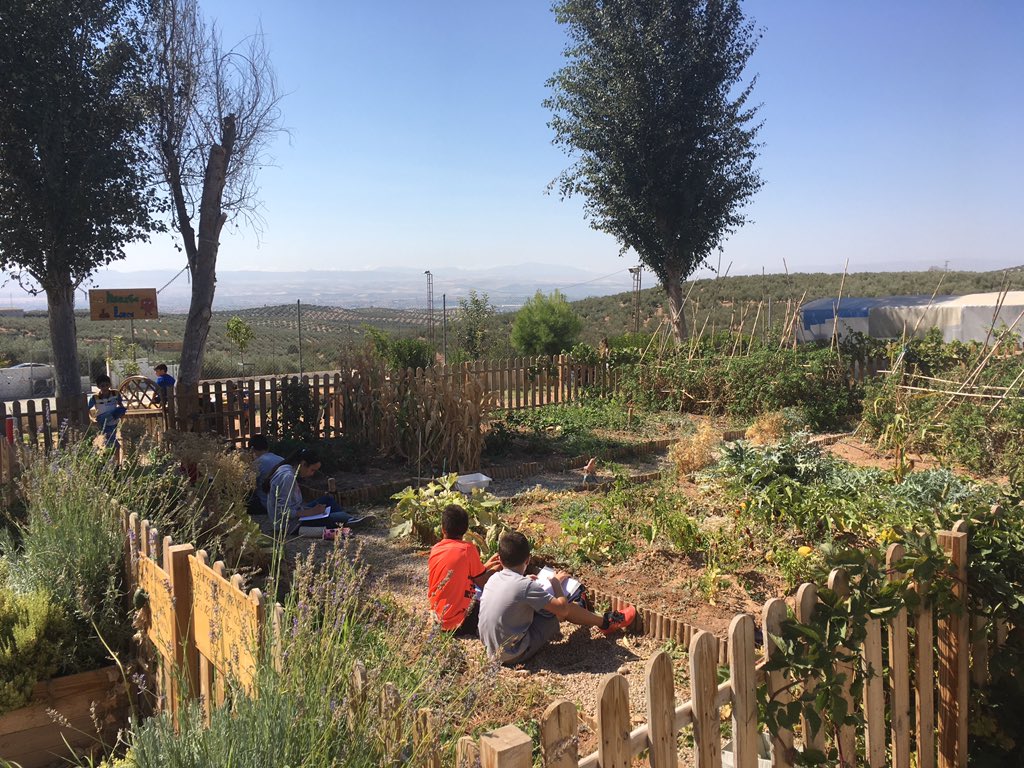 Fantástico Güevéjar tweet media