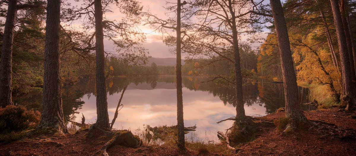 Autumn equinox photo treat for holiday inspiration in #Aviemore #Cairngorms 📷 <a href="/VisitCairngrms/">VisitCairngorms.com</a>