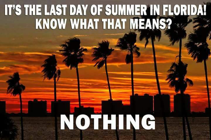 TonedDownMo's tweet image. #summer #fall #samestuff