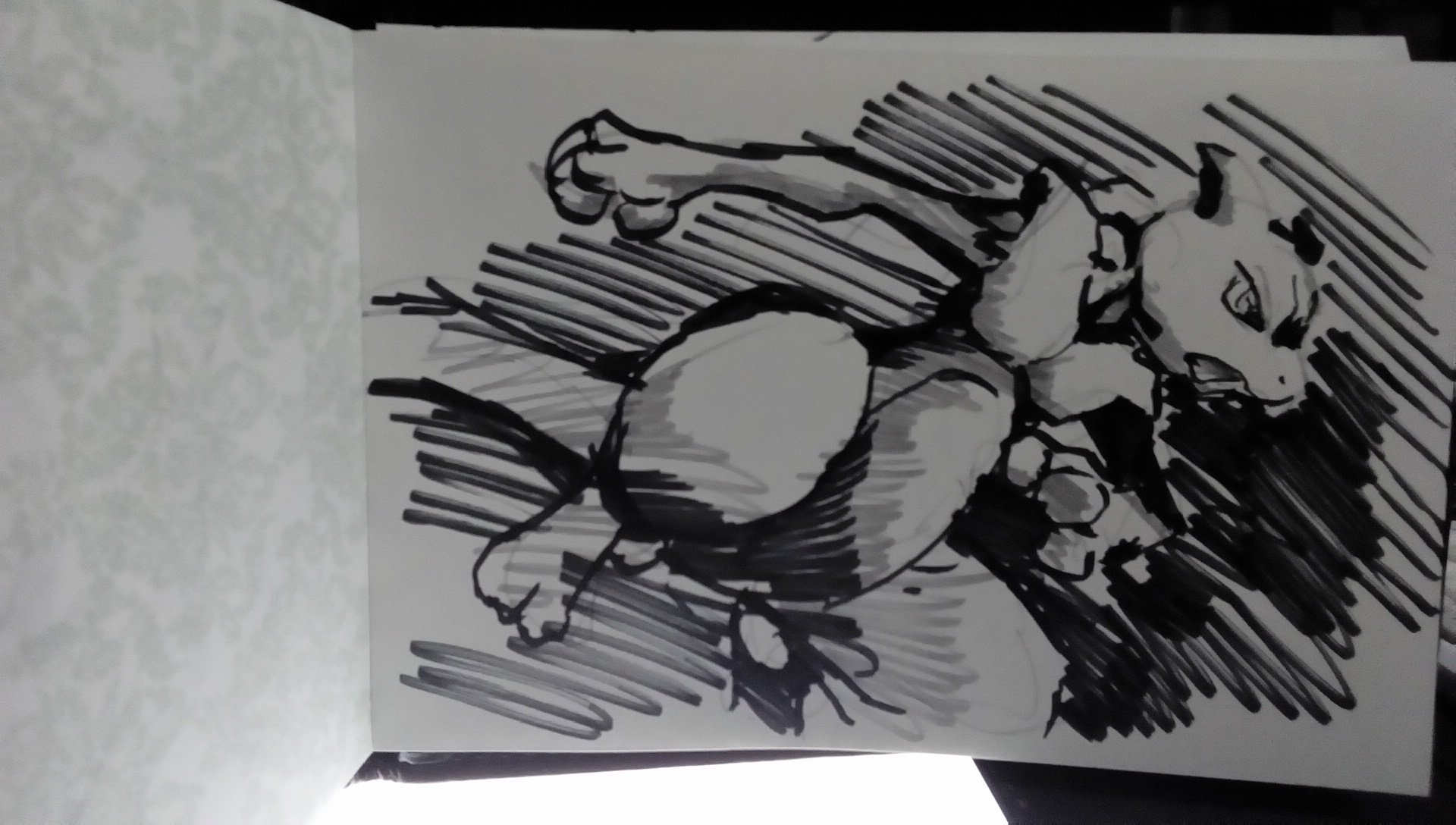 岩根雅明 非常に好きなミュウツー どれくらい好きかというとファイアレッドリーフグリーンをひたすら周回してボックス一つを ミュウツーで埋めたことがあるくらい ちなみにハートゴールドではポケウォーカーを駆使してボックス手持ちすべてピカチュウで