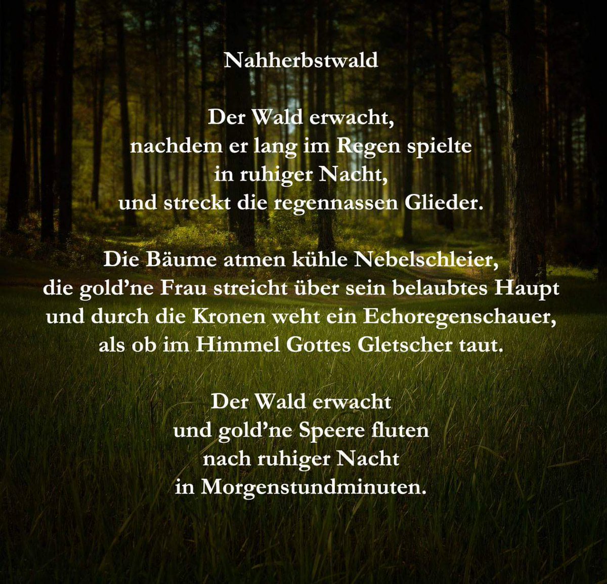 Download Natur gedicht Free Natur Gedicht