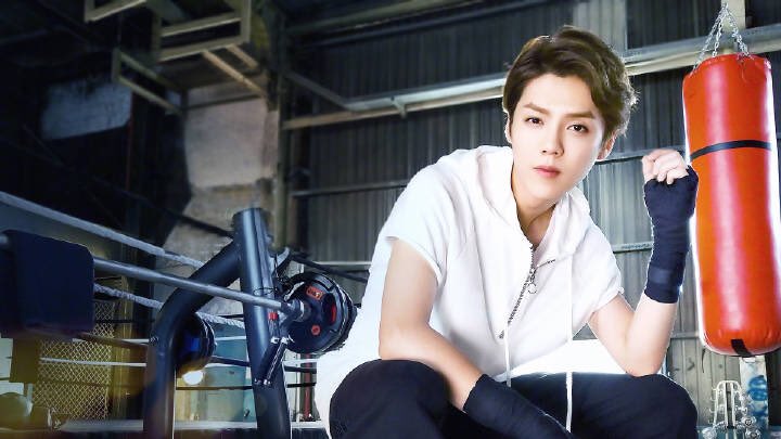 lucoolu_'s tweet photo. cr.mydeeryo

#vivo #鹿晗 #LuHan #ルハン https://t.co/FcncOtC1Qt