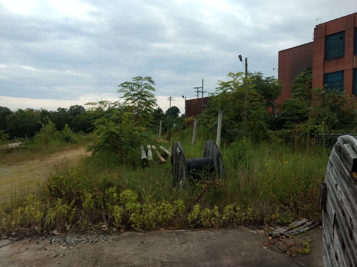 SimpleMansLawn's tweet photo. Um, so our first bush "hogging" went down...man the things we ran over an mostly likely killed.. https://t.co/0jGlJzH2dV