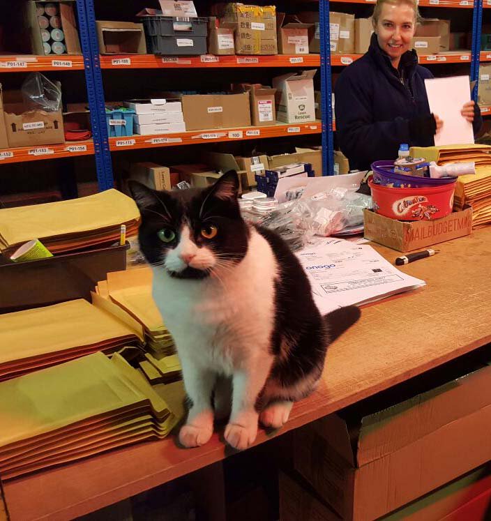 onogo_com's tweet image. Meet the new manager of Pets Products- Mr.Fidel 🐾
The real team are busy at  'Pats Show' in Telford
#patstelford #tradeshow #onogo #pets