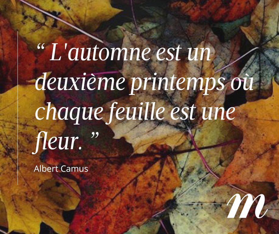 Laetitia Hugot Gunners611 Belle Journee Ensoleillee En Ce Vendredi 1er Jour De L Automne Profites En Bien T Co Jhc5scvxsf Twitter Laetitia Hugot Gunners611 Belle Journee Ensoleillee En Ce Vendredi 1er Jour De L Automne Profites En Bien T Co Jhc5scvxsf Twitter
