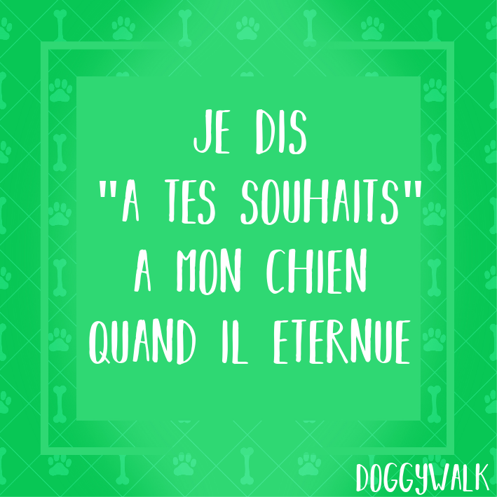 DoggywalkApp's tweet photo. Vous aussi? 🐶💖😂
#Jeparleamonchien #maisjelevisbien
#VendrediLecture #doggywalk https://t.co/yAtwdtsQzG