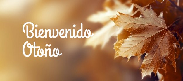 ambilamp's tweet photo. ¡#BienvenidoOtoño! Empezamos una nueva estación cargados de energía para seguir cuidando y disfrutando del #MedioAmbiente 🍂🍁🍃 https://t.co/F3yZz0JrSB