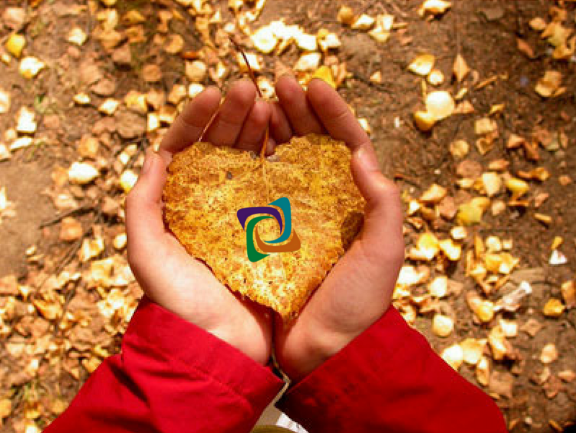 Altissima_Group's tweet photo. Hello Autumn ! 
@Altissima_Group vous souhaite une très belle saison automnale, riche en cueillette et apprentissage.
Restez connecté ! https://t.co/VdkGU73sSR